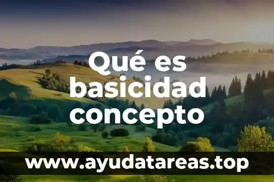 Qué es basicidad concepto