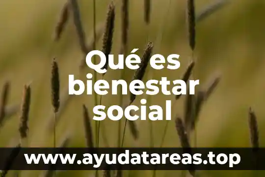 Que es belleza color y bienestar en las culturas 4 Qué es bienestar social