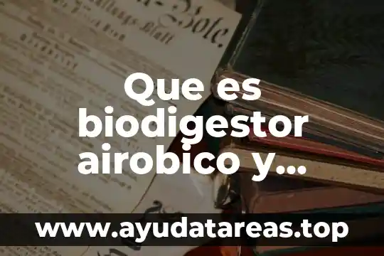 Que es biodigestor airobico y anairobico cual es su proceso