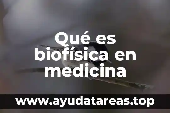 Qué es biofísica en medicina