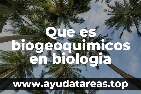 Que es energética biologia 3 Que es biogeoquimicos en biologia