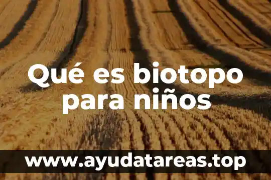 Que es un carnaval y como se celebra para niños 3 Qué es biotopo para niños