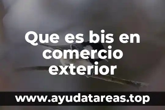 Que es bis en comercio exterior