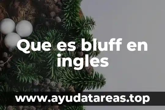 Que es erases en ingles 8 Que es bluff en ingles