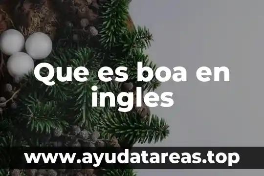 Qué es número ordinal numbers en inglés 8 Que es boa en ingles