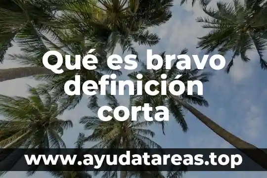 Qué es bravo definición corta