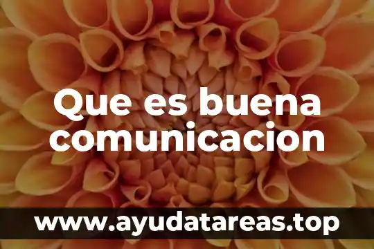 Para que es buena la agua de alcachofa 7 Que es buena comunicacion