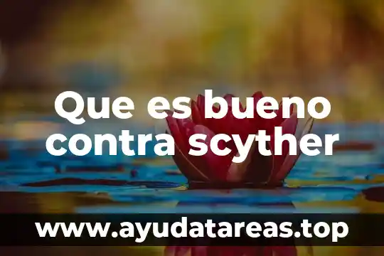 En filosofía que es método clases 5 Que es bueno contra scyther