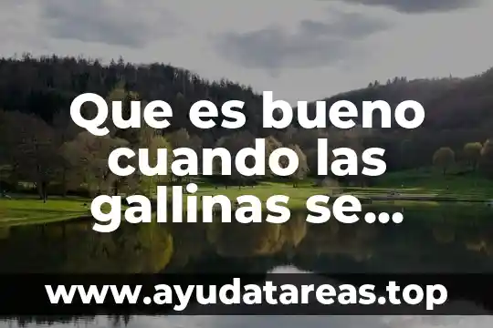 Que es bueno cuando las gallinas se comen las plumas