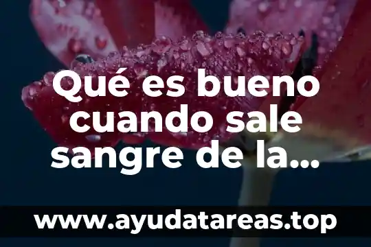 Que es la sangre mezcla compuesto o elemento 5 Qué es bueno cuando sale sangre de la nariz