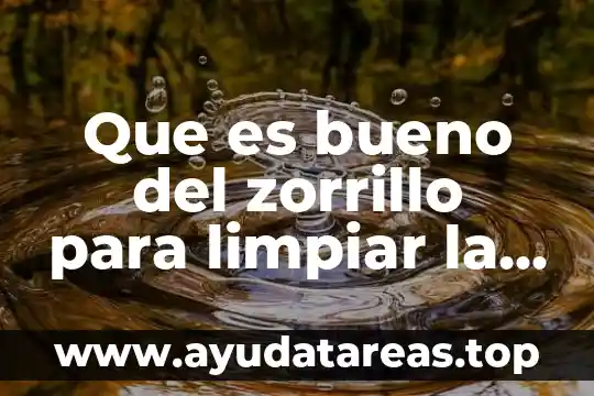 Para que es importante limpiar el gabienete electrico 3 Que es bueno del zorrillo para limpiar la sangre humana