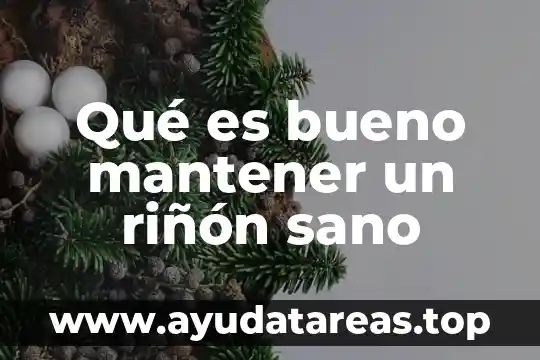 Que es mantener erguida la planta 6 Qué es bueno mantener un riñón sano