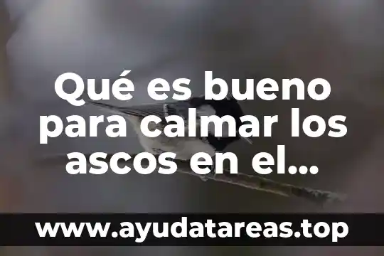Que es el embarazo no planeado 8 Qué es bueno para calmar los ascos en el embarazo