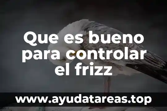 Que es un bloster de agua 4 Que es bueno para controlar el frizz