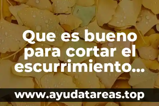 Que es bueno para cortar el escurrimiento nasal