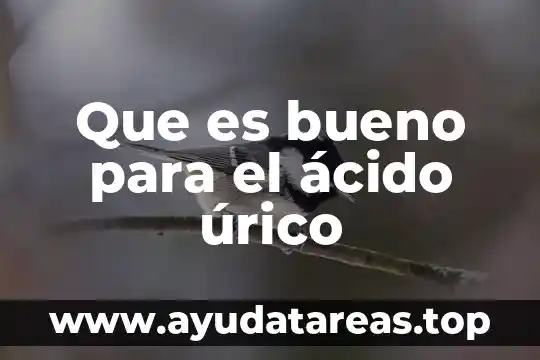 Qué es el ácido úrico alto en la sangre 6 Que es bueno para el ácido úrico