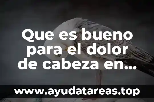 Que es ser cabeza de familia 7 Que es bueno para el dolor de cabeza en embarazo