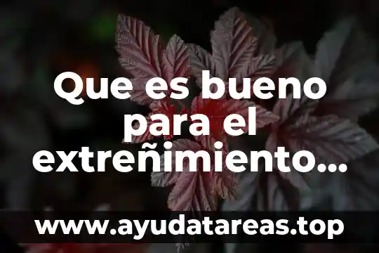 Que es bueno para sacar el agua del pulmón 4 Que es bueno para el extreñimiento canino