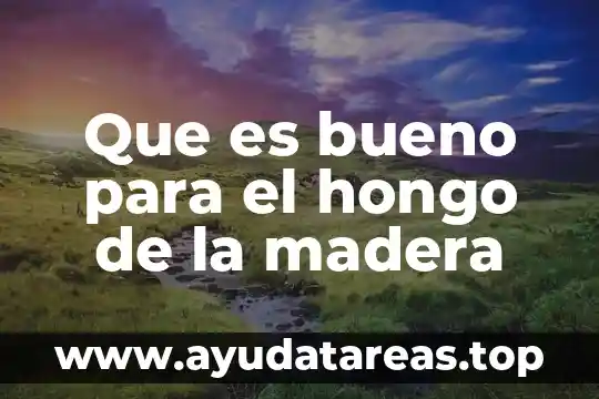 Que es madera como materia elemento compuesto o mezcla 8 Que es bueno para el hongo de la madera