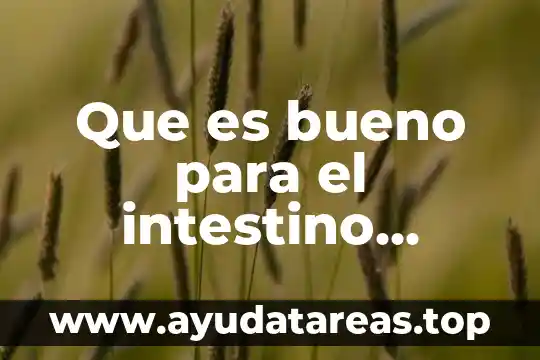 Que es bueno para las arañas vasculares 6 Que es bueno para el intestino irritable