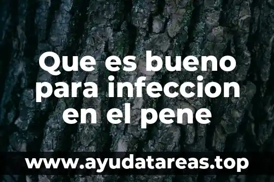 Para que es bueno la planta de romero 5 Que es bueno para infeccion en el pene