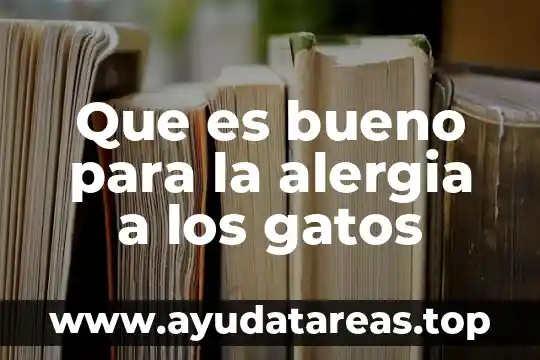 Que es bueno para la alergia a los gatos