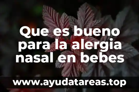 Nebulizador de compresor omron para niños y bebés que es 4 Que es bueno para la alergia nasal en bebes