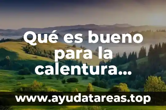 Para que es bueno la planta de romero 7 Qué es bueno para la calentura medicamento