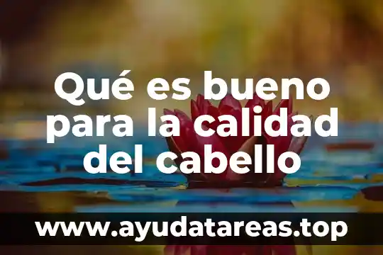 Que es el visagismo en el corte de cabello 4 Qué es bueno para la calidad del cabello