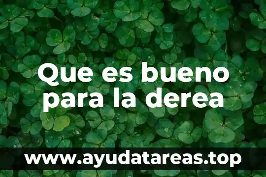Que es mitigacion de desastres concepto 8 Que es bueno para la derea