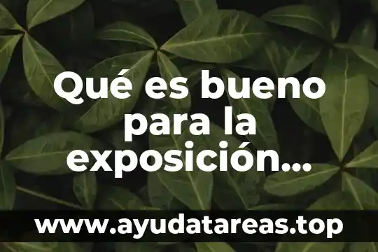 Que es un purificador de agua solar y como funciona 7 Qué es bueno para la exposición solar de los perros