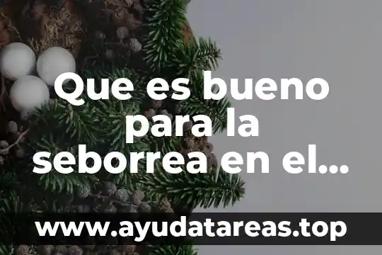 Que es bueno para lo quemado por el sol 3 Que es bueno para la seborrea en el cuero cabelludo