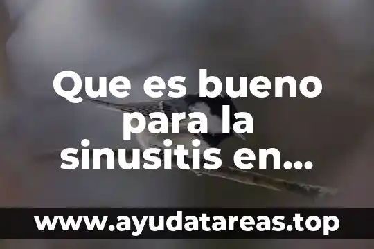 Que es bueno para la sinusitis en adultos