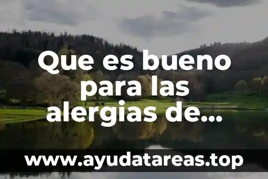 Poe que es importante la abeja para el ser humano 3 Que es bueno para las alergias de piquete de abeja