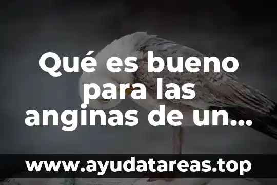 Qué es un niño de eutrofico 8 Qué es bueno para las anginas de un niño