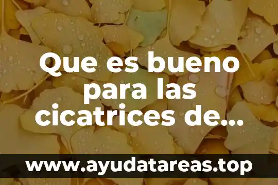 Para que es bueno el agua de valeriana 6 Que es bueno para las cicatrices de picaduras de mosquitos