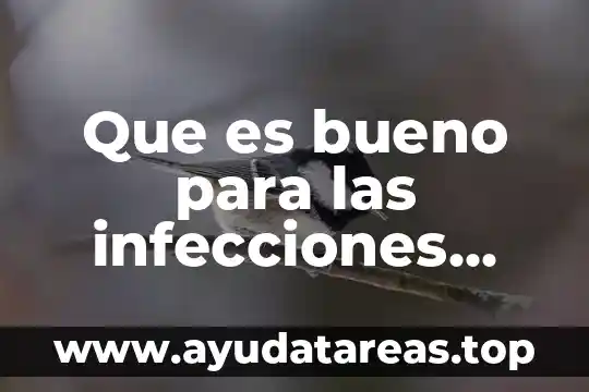 Para que es bueno la tiaminal 6 Que es bueno para las infecciones vaginales