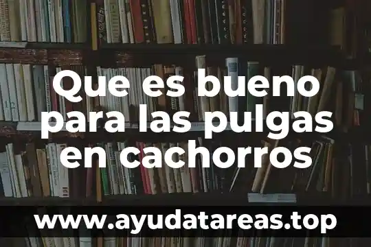 Qué es bueno para la tos con flema para bebés 8 Que es bueno para las pulgas en cachorros