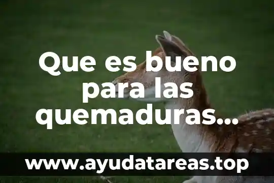 Que es bueno para las quemaduras con agua hervida 3 Que es bueno para las quemaduras de sol en niños