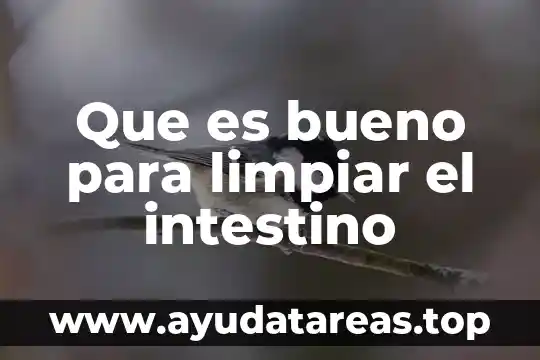 Que es bueno del zorrillo para limpiar la sangre humana 5 Que es bueno para limpiar el intestino