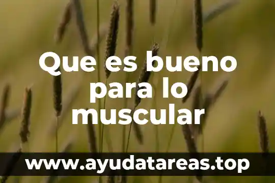 Que es bueno para lo muscular