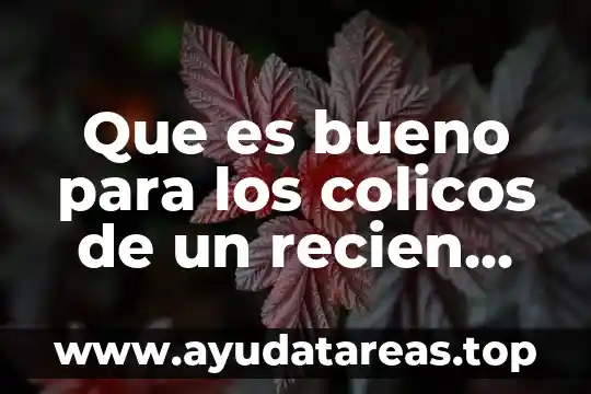 Según la OMS que es recién nacido 7 Que es bueno para los colicos de un recien nacido