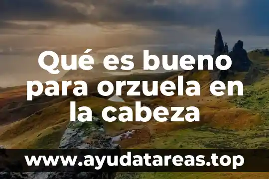 Que es ser cabeza de familia 8 Qué es bueno para orzuela en la cabeza