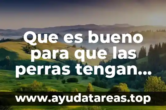 Que es bueno para que las perras tengan leche