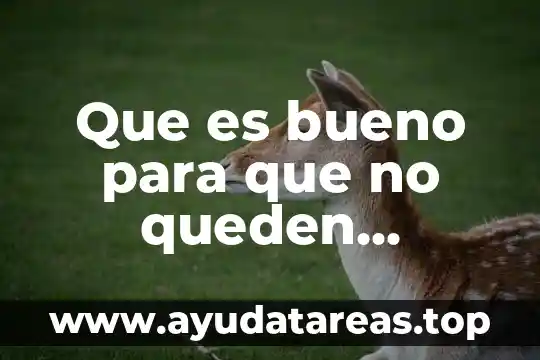 Qué es la demanda de bienes sociales 5 Que es bueno para que no queden cicatrices dela varicela