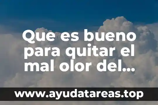 Que es bueno para dormir profundamente 7 Que es bueno para quitar el mal olor del closet