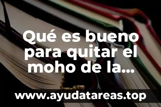 Que es madera como materia elemento compuesto o mezcla 4 Qué es bueno para quitar el moho de la madera