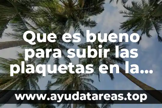 Que es bueno para subir las plaquetas en la sangre