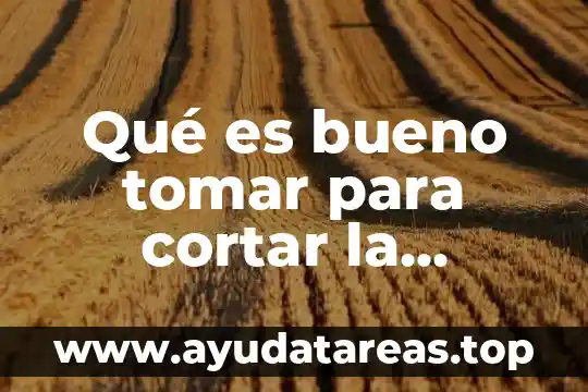 Qué es bueno tomar para cortar la diarrea
