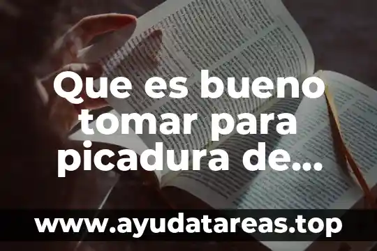 Poe que es importante la abeja para el ser humano 8 Que es bueno tomar para picadura de abeja